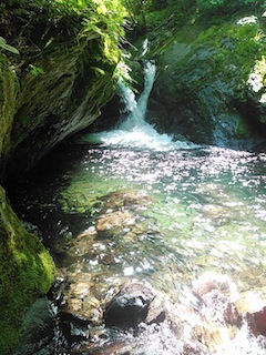 c0359615_21593671.jpg