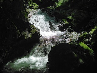 蕎麦粒山・大谷川沢ハイキング〜タカノス谷見学_c0359615_21594662.jpg