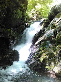 c0359615_22000000.jpg
