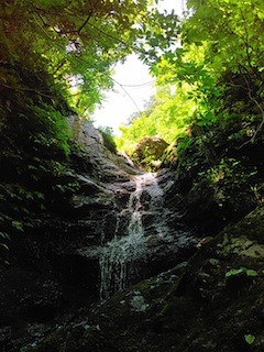 c0359615_22001177.jpg