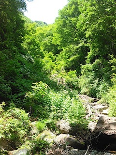 c0359615_22001630.jpg