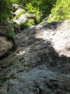 蕎麦粒山・大谷川沢ハイキング〜タカノス谷見学_c0359615_22002207.jpg