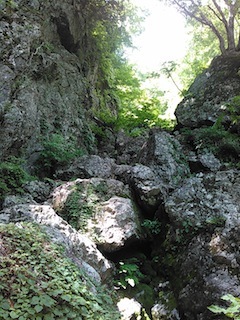 蕎麦粒山・大谷川沢ハイキング〜タカノス谷見学_c0359615_22004071.jpg