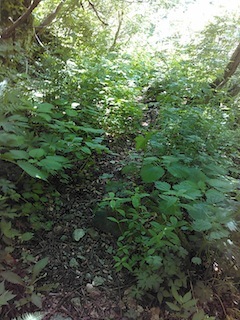 c0359615_22005318.jpg
