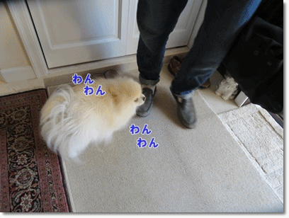b0167519_17344608.gif