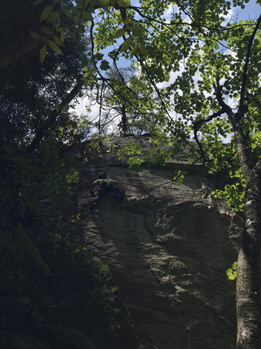 b0037220_22594715.jpg