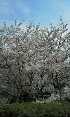 c0074721_15435182.jpg