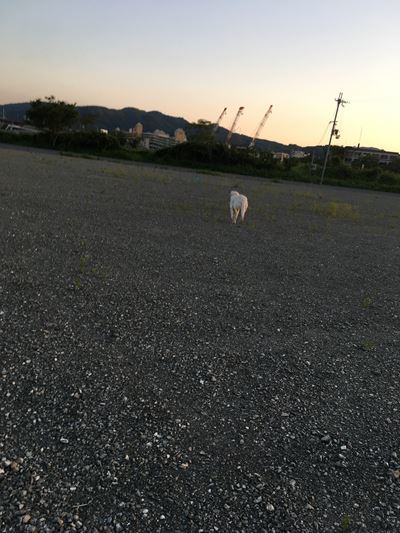 c0114121_00074904.jpg