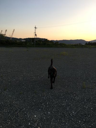 c0114121_00075965.jpg