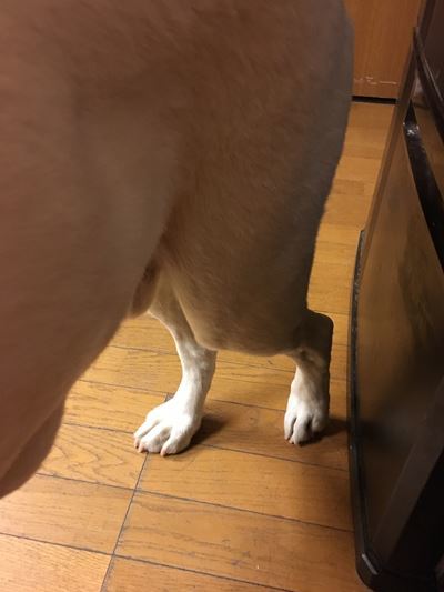 c0114121_00314490.jpg