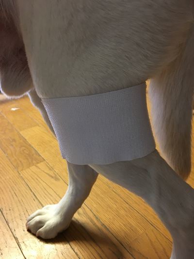 c0114121_01152591.jpg