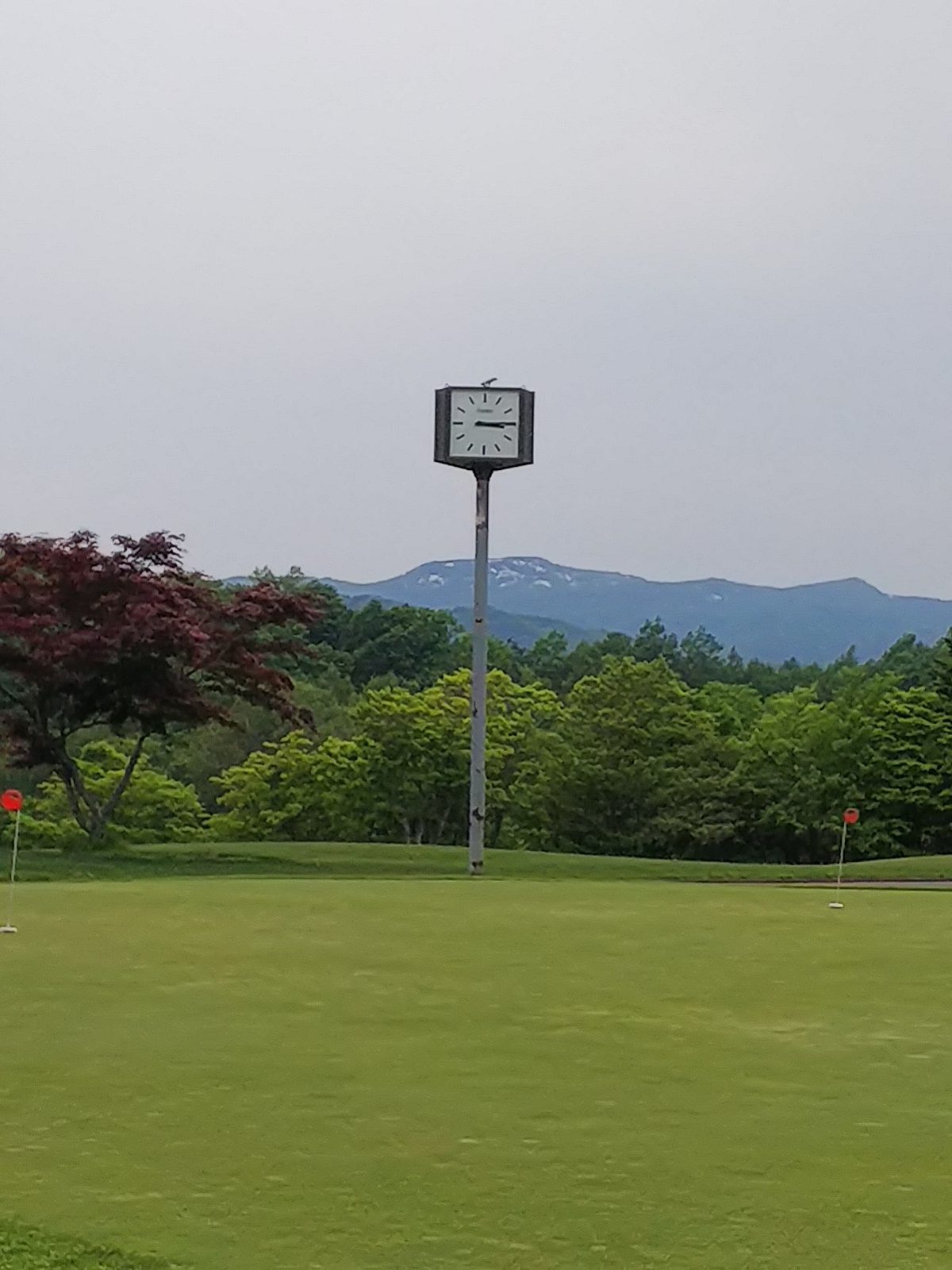 f0227321_20103606.jpg