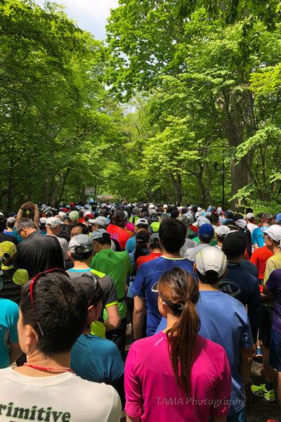c0024729_20395893.jpg