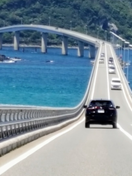d0269832_08523282.jpeg