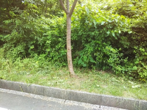 e0166734_22181849.jpg