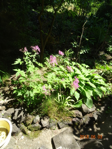 c0147935_21121710.jpg