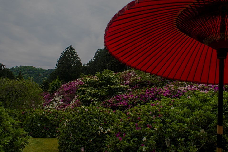 三室戸寺のつつじ 鏡花水月 三室戸寺のつつじ 鏡花水月
