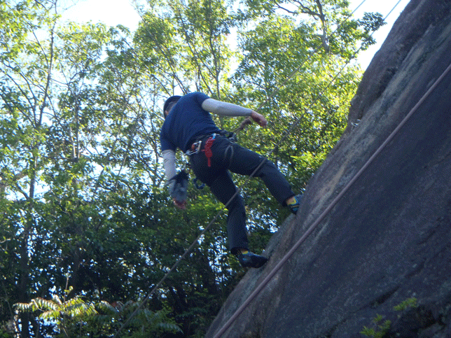 e0371039_12524112.gif