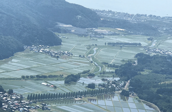 e0371039_15172398.gif