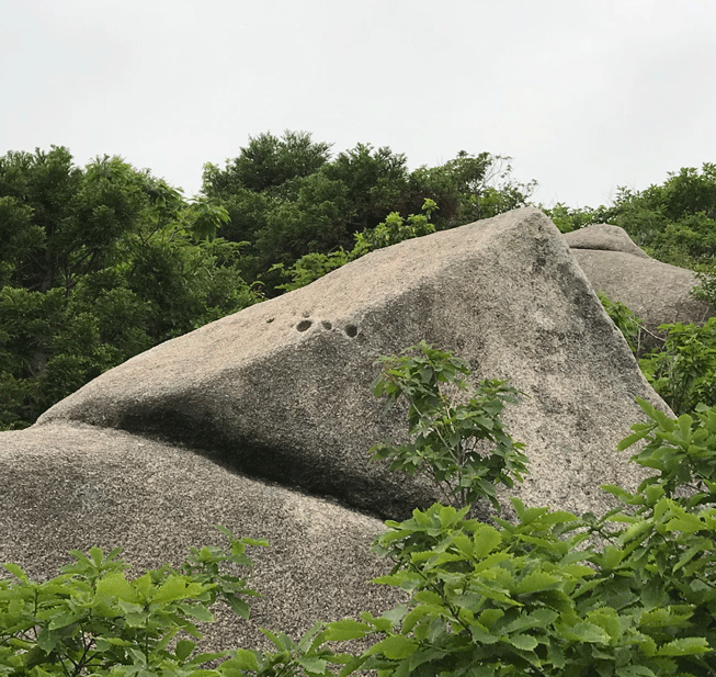 e0371039_1519310.gif
