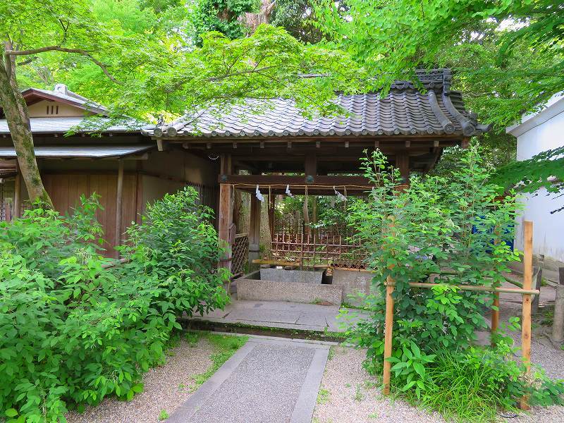 梨木神社(京都御苑)20180604_e0237645_19090376.jpg