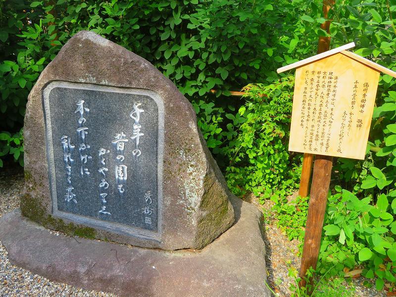 梨木神社(京都御苑)20180604_e0237645_19103985.jpg