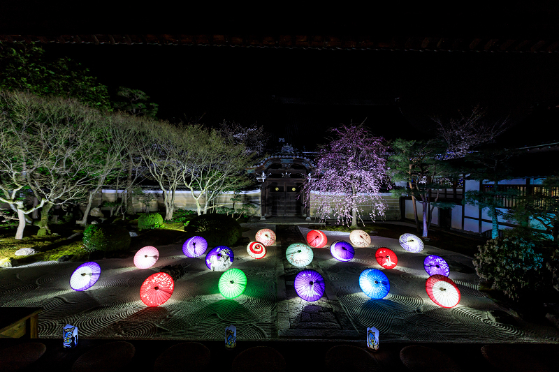 桜咲く京都2018　妙顕寺ライトアップ_f0155048_83140.jpg