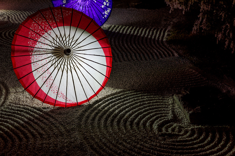 桜咲く京都2018　妙顕寺ライトアップ_f0155048_855363.jpg