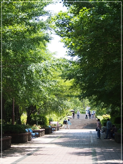 d0013149_23095160.jpg