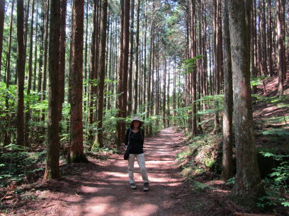 木曽路を歩く_e0136049_11382946.jpg