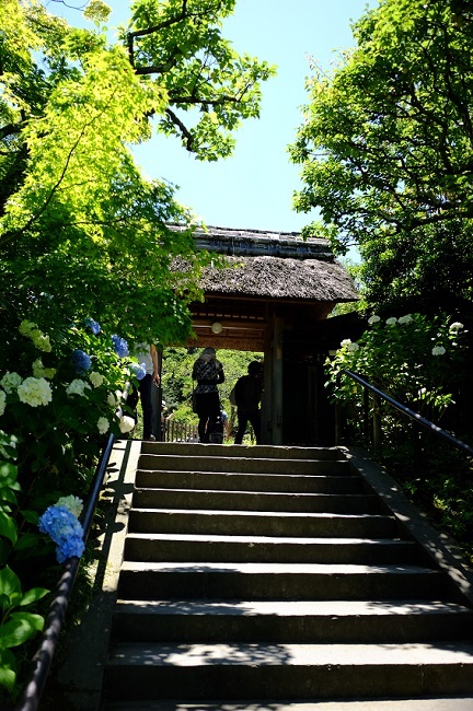 a0247450_09120756.jpg