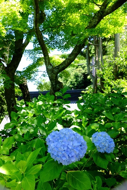 a0247450_09122488.jpg