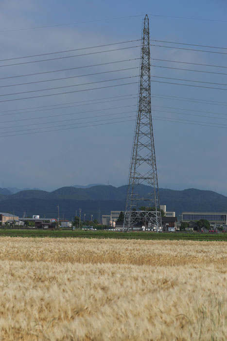 d0342652_14503710.jpg