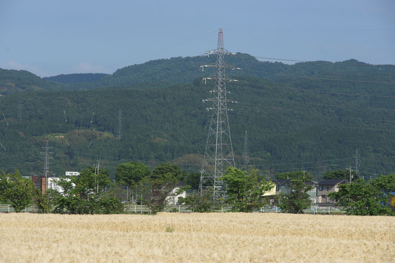 d0342652_14511027.jpg