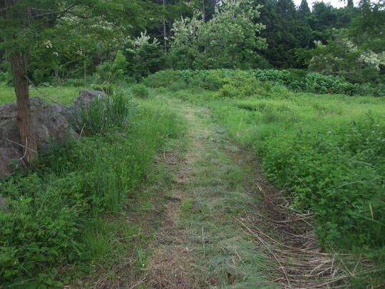 d0279653_17264080.jpg