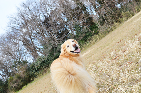 地元で遊ぼう♪_f0044853_12454508.jpg