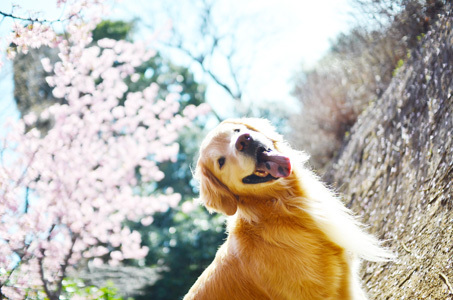 ゆるり時間のプレゼント_f0044853_14481389.jpg