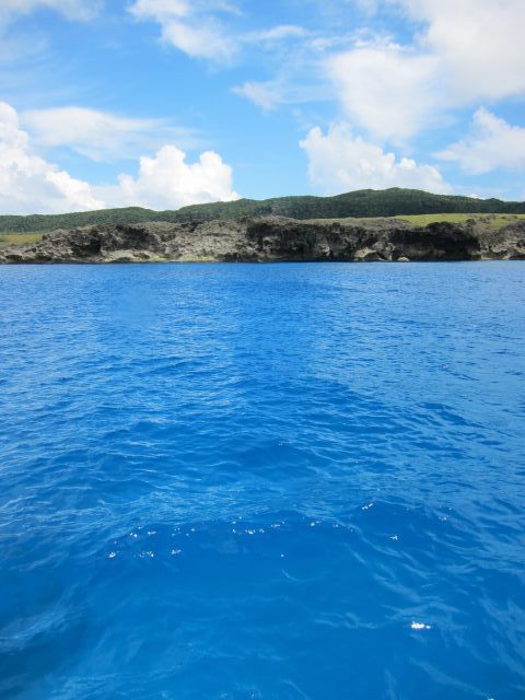 6月5日　大木さんが飛ぶ。。！_d0113459_19062196.jpg