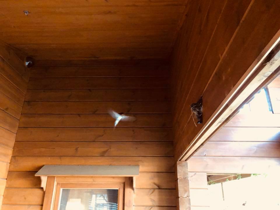 c0123363_1155496.jpg