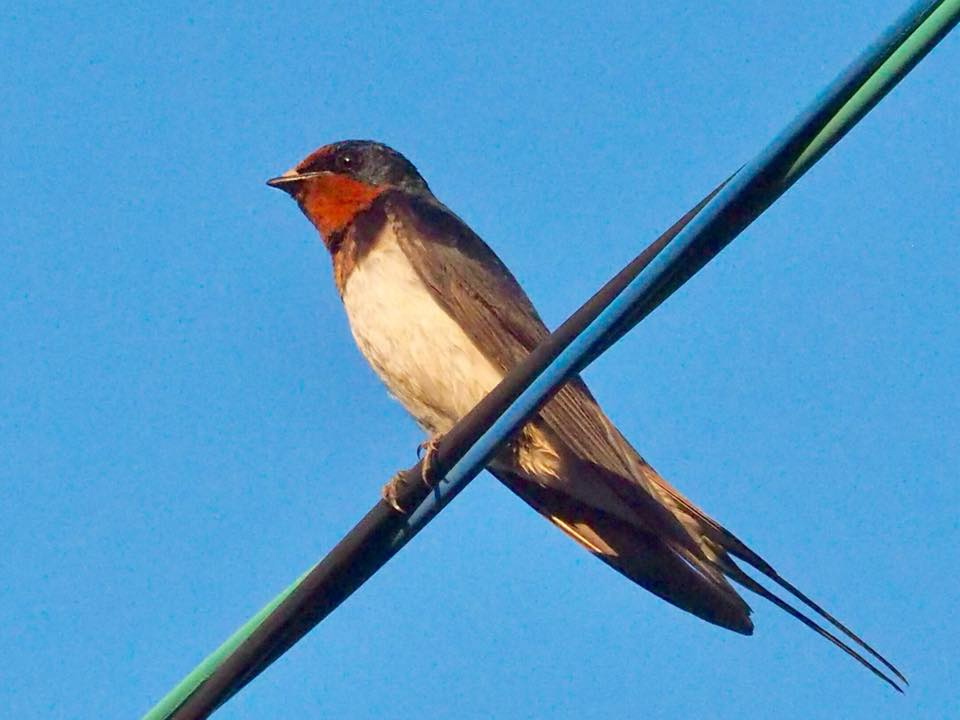 c0123363_1172490.jpg