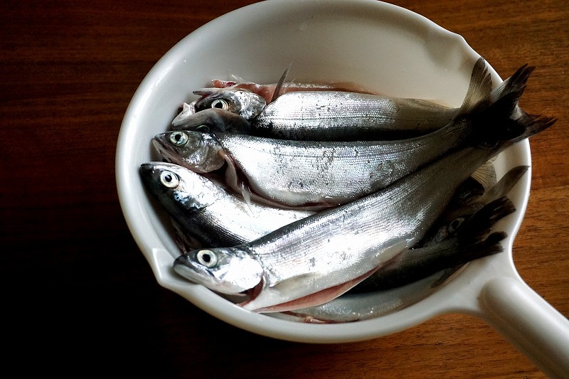 チップという魚です 北の旅人日記