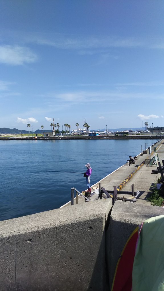 和歌山マリーナシティで釣り　→　魚万氷室_f0374164_12583164.jpg