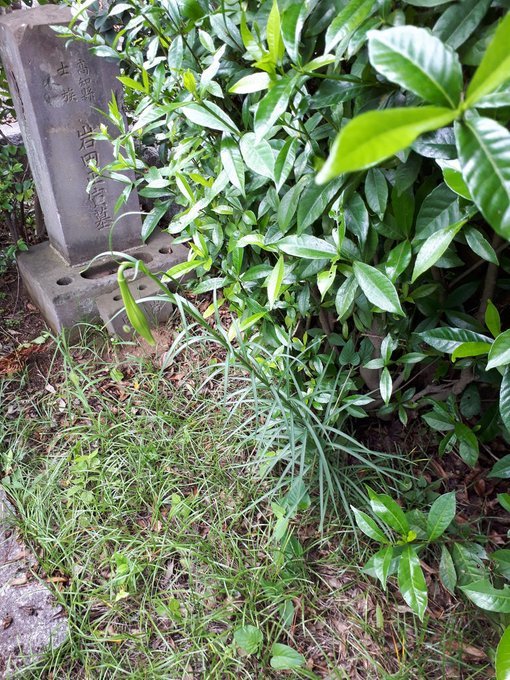 2018/5/23-28赤坂喰違の変現場検証・妖怪画追加(メイン記事リンク、古写真追加)、高輪大木戸古今、新橋古今、北斎追求、神戸古写真判明、ああ何もなき日を望むのに動き回る。。_b0116271_16184689.jpg
