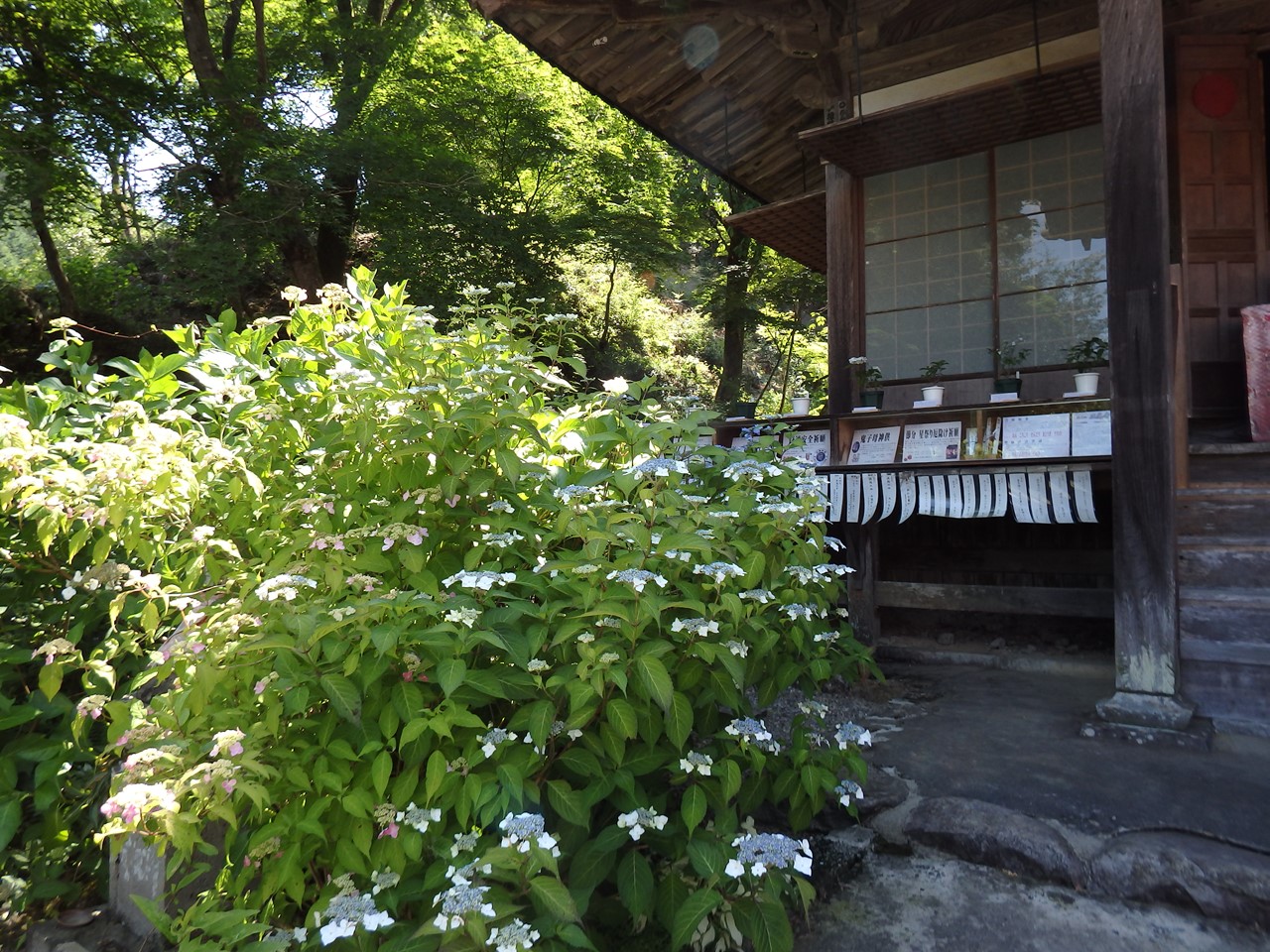 d0054276_20371546.jpg