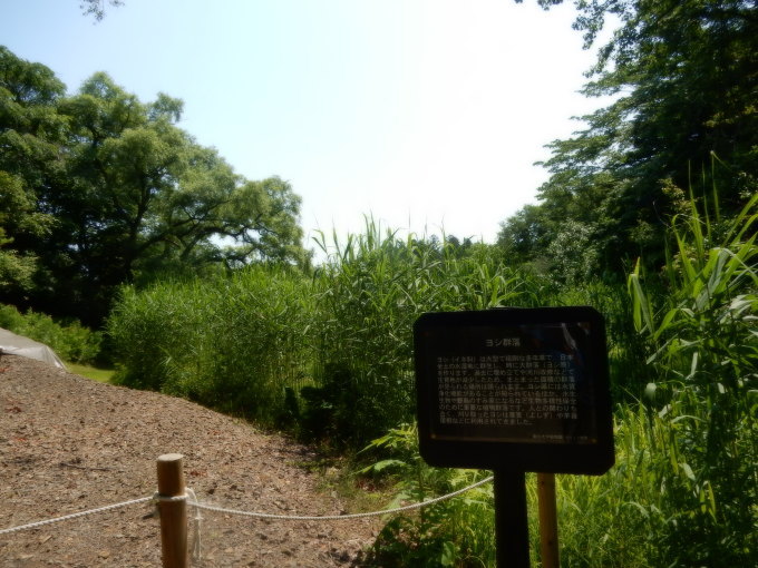 e0355177_08021662.jpg