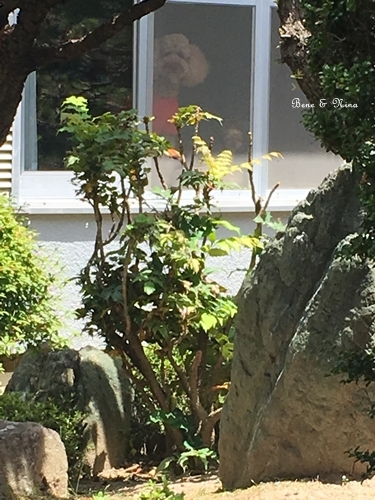 c0283778_16184311.jpg