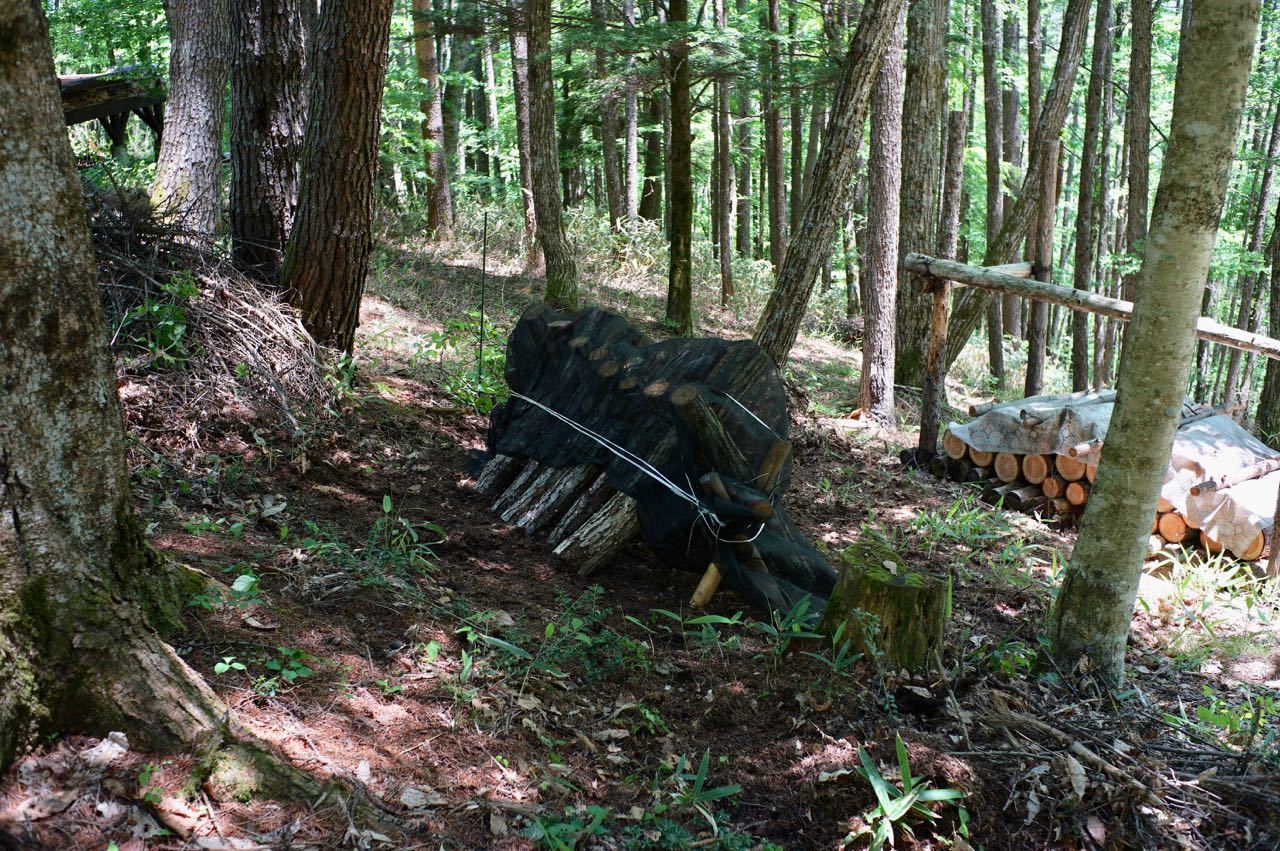 f0124378_21352902.jpg