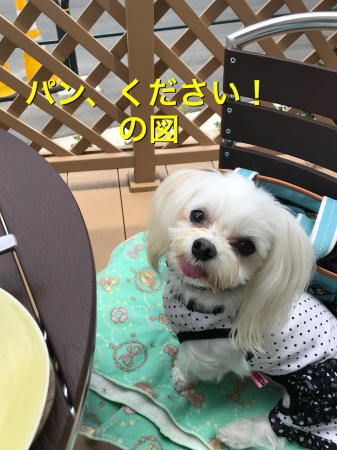 b0193480_15254139.jpeg