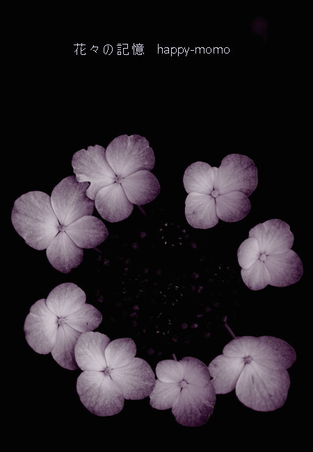 c0357781_12411150.jpg