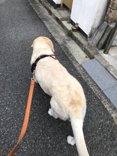 f0315081_21401843.jpeg